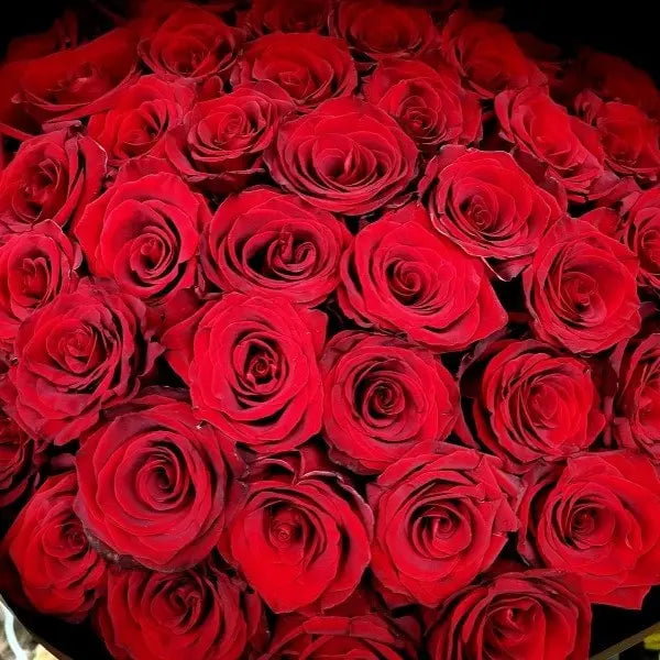 Love & Romance ♡