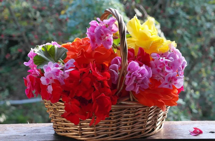Flower Baskets