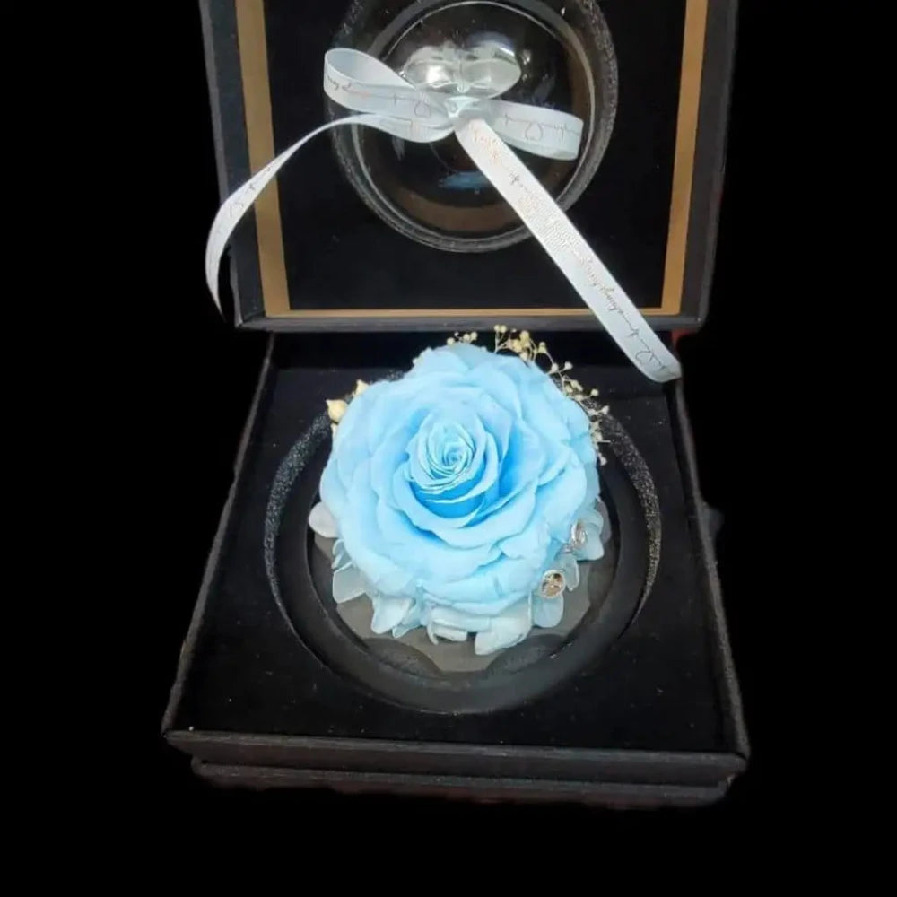 Preserved Rose