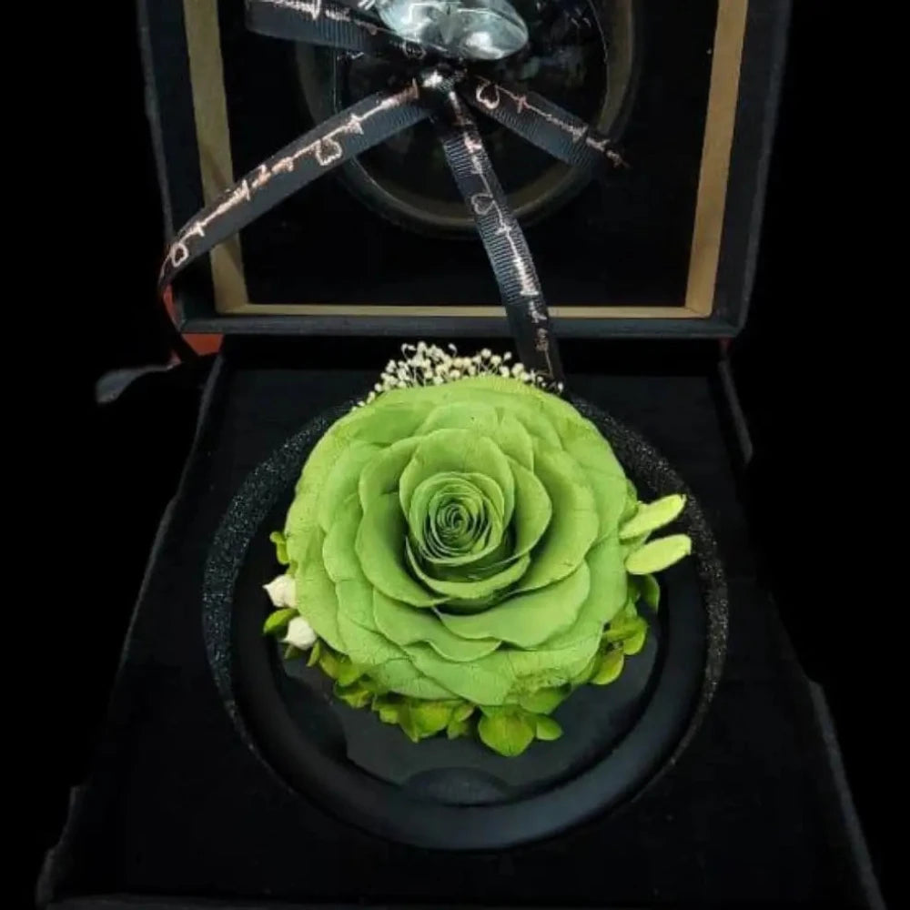Preserved Rose