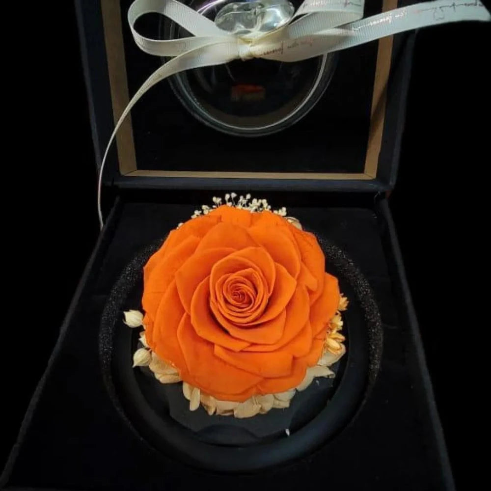 Preserved Rose