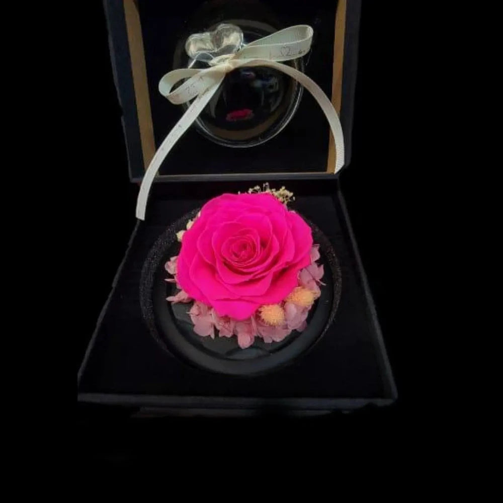 Preserved Rose