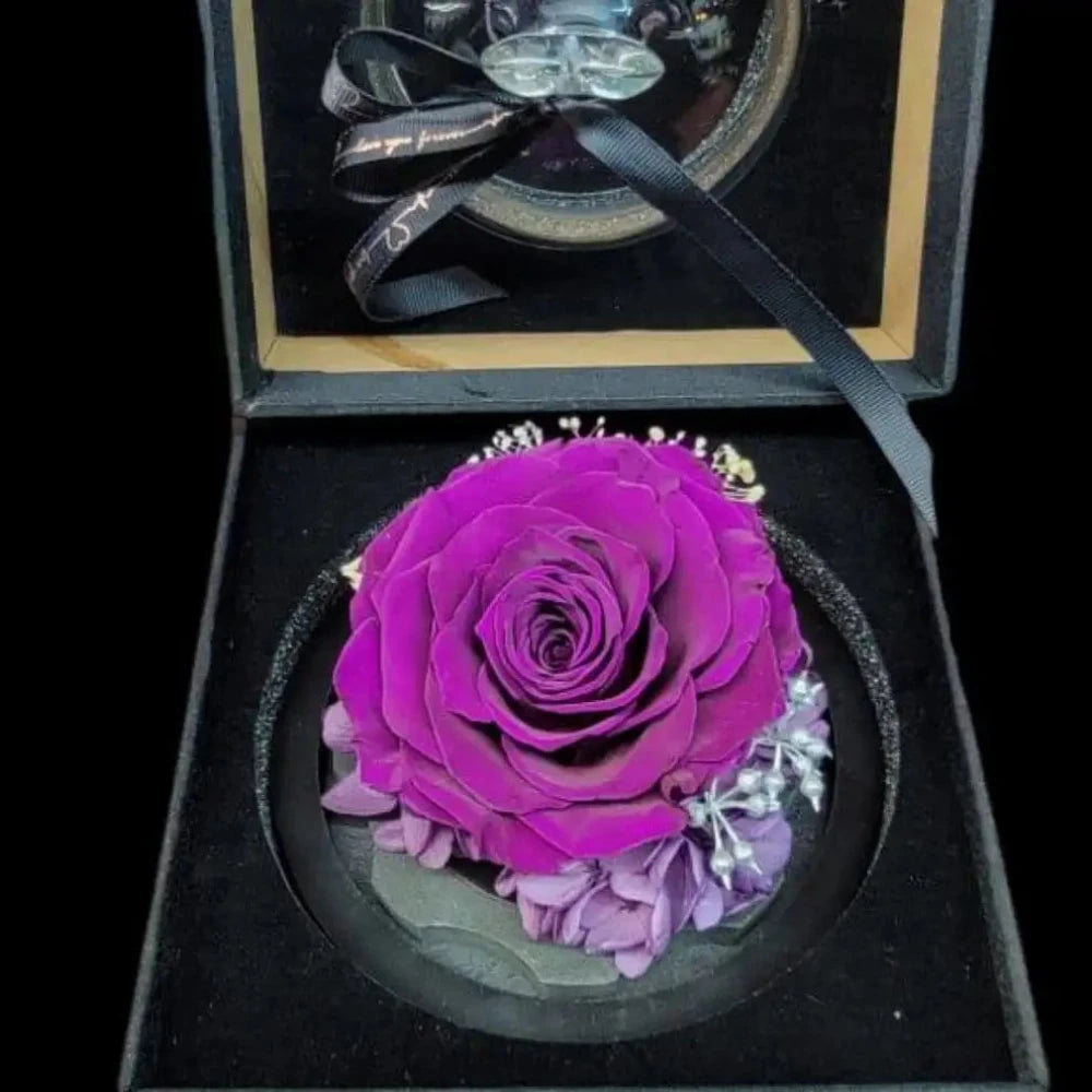 Preserved Rose