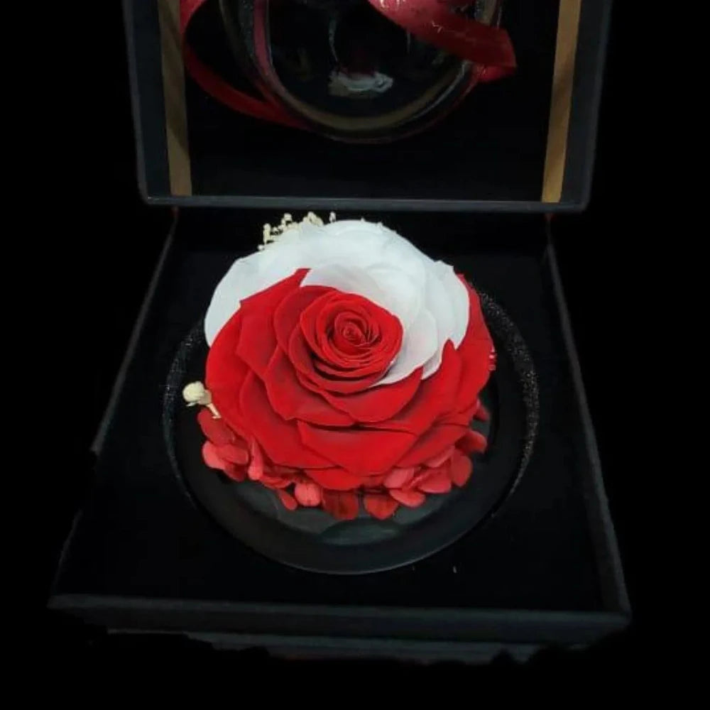 Preserved Rose