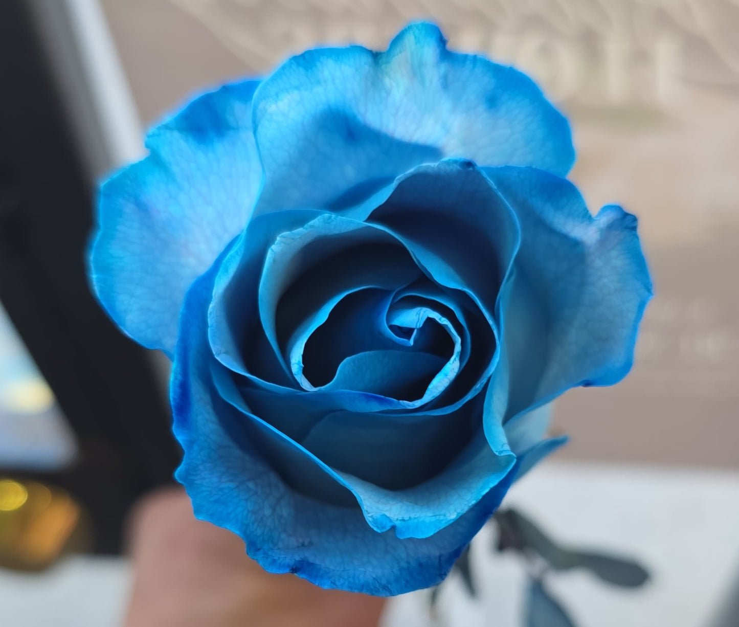 Blue Rose