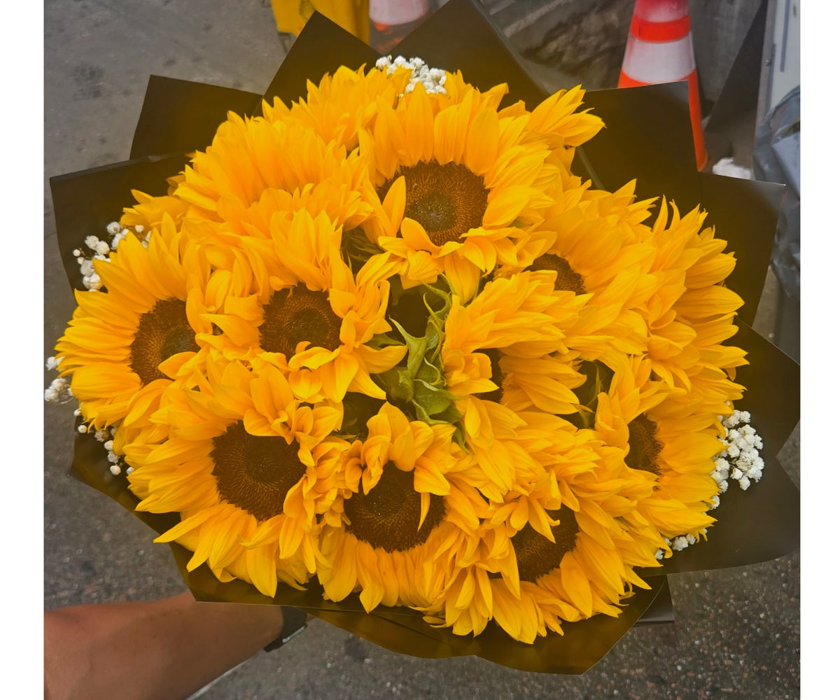 Sunflower buchon