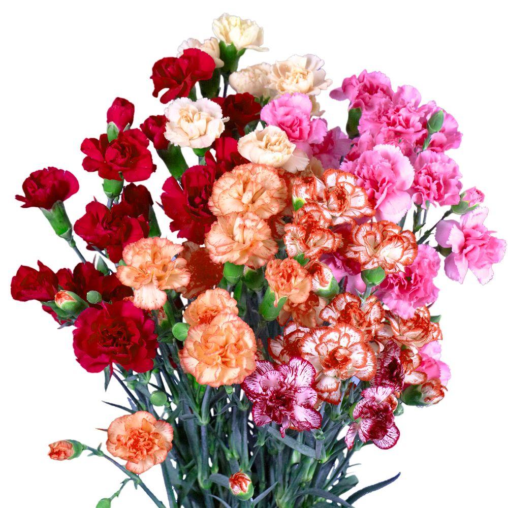 Mini Carnation Bouquet